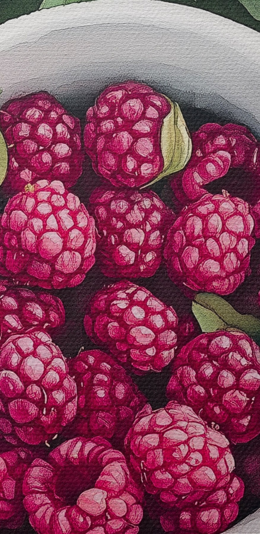 Coupe de framboises sur les feuilles Coupe de framboises sur les feuilles