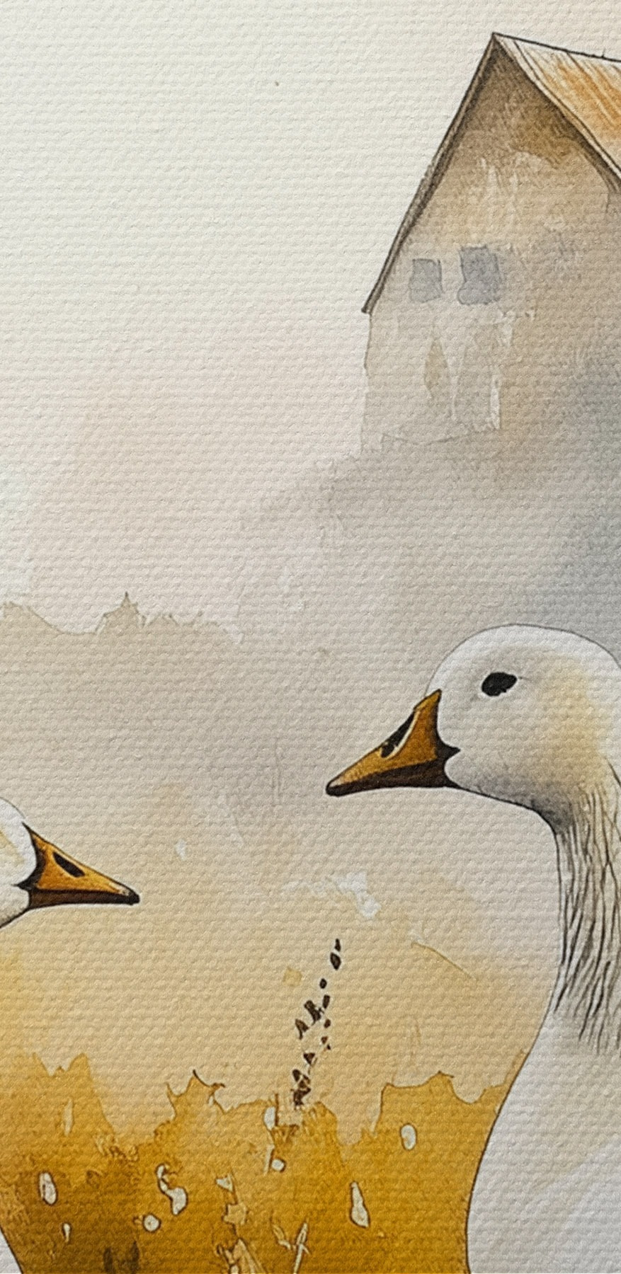Aquarelle de deux oies dans un champ