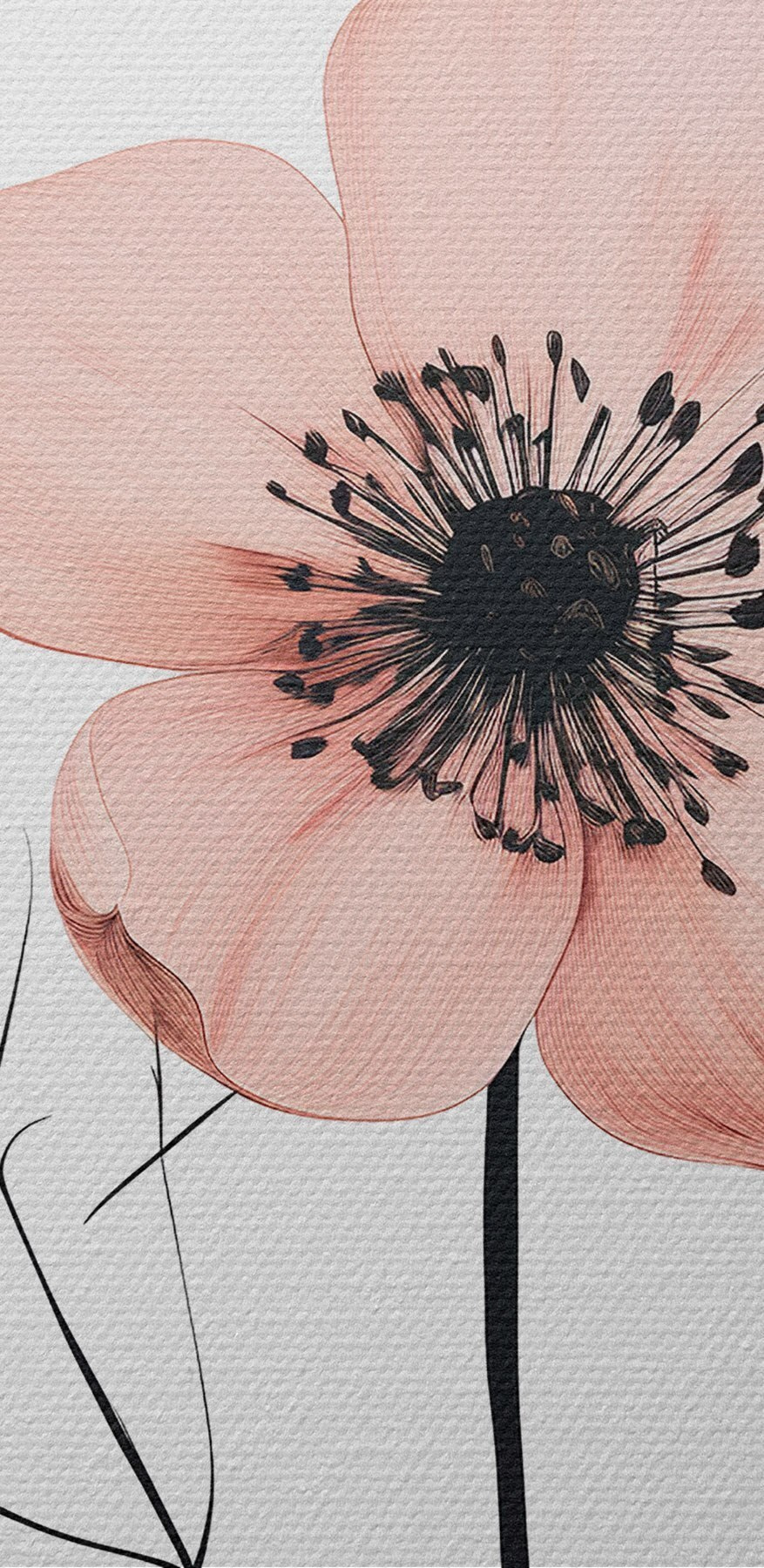 Fleur rose avec centre et feuilles noirs