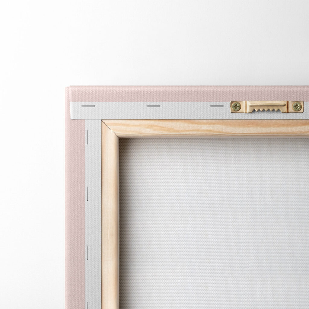 Cactus with flowers in a pot