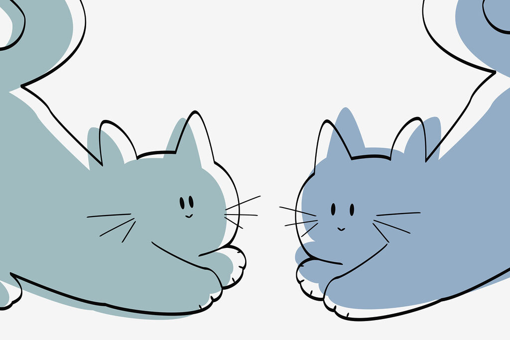 Couple de chats couchés Couple de chats couchés
