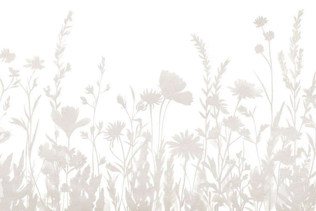 Fond blanc avec des fleurs Fond blanc avec des fleurs