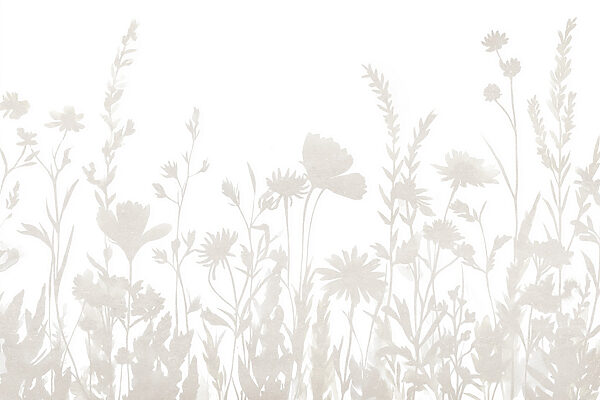 Fond blanc avec des fleurs Fond blanc avec des fleurs