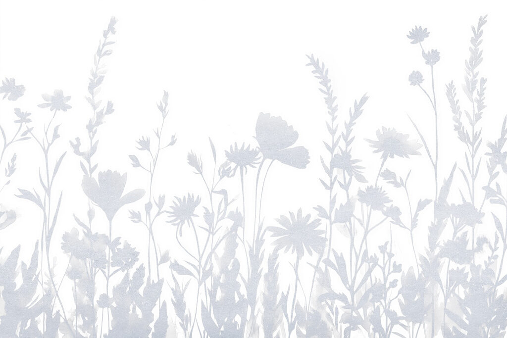 Silhouettes de fleurs blanches Silhouettes de fleurs blanches