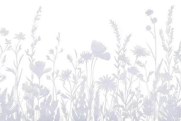 Silhouettes de fleurs blanches Silhouettes de fleurs blanches