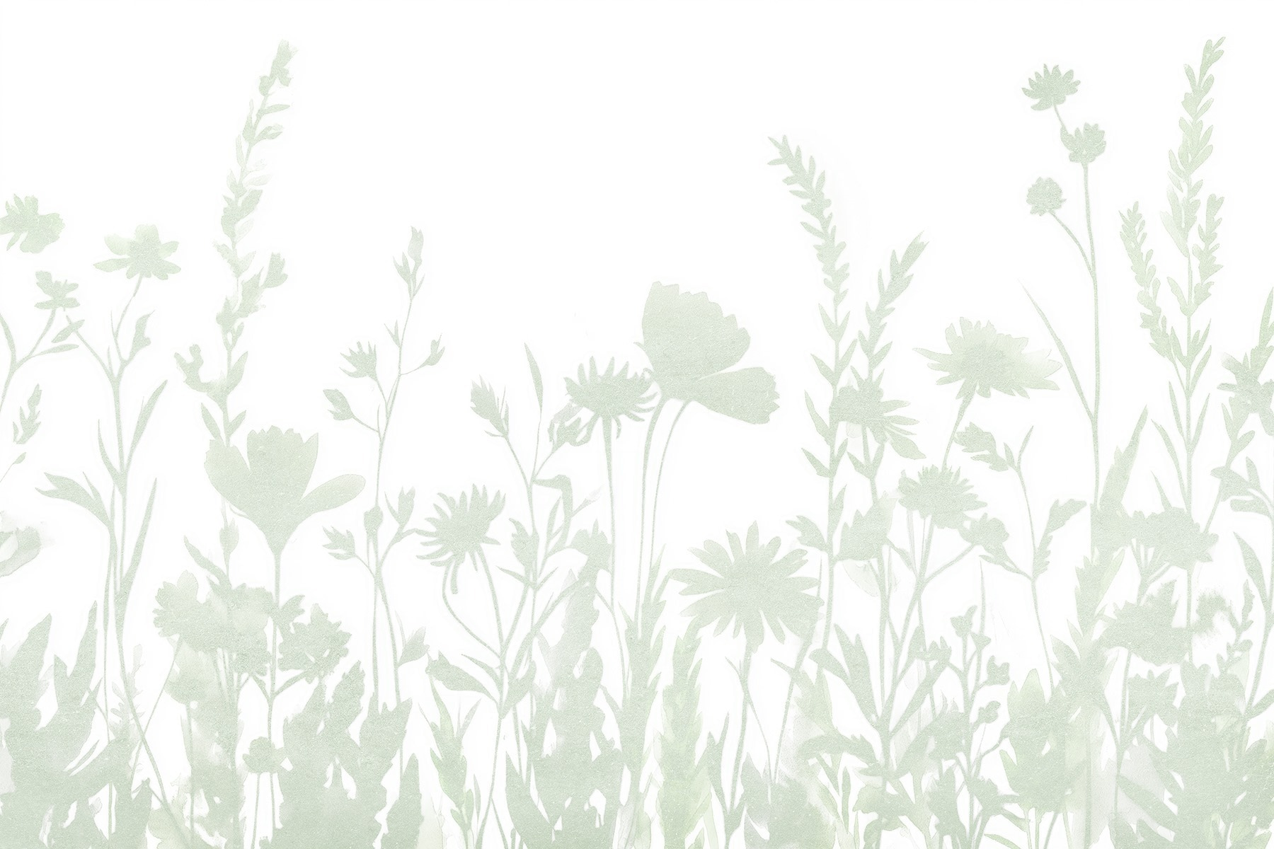 Whimsical floral silhouette design displayed