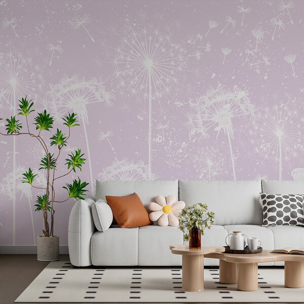 White dandelion flowers