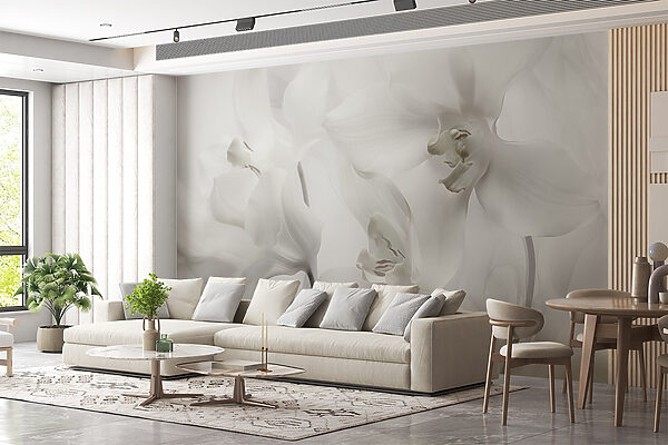 Délicates orchidées blanches dans une lumière douce Délicates orchidées blanches dans une lumière douce