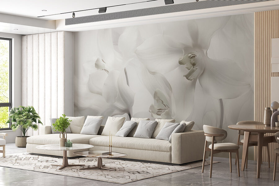 Délicates orchidées blanches dans une lumière douce