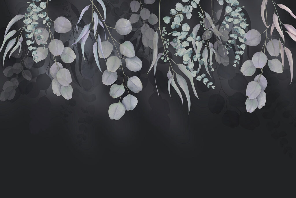 Graceful leaves against dark backdrop