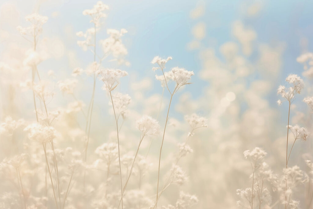 Fleurs de rêve dans la lumière douce du soleil Fleurs de rêve dans la lumière douce du soleil