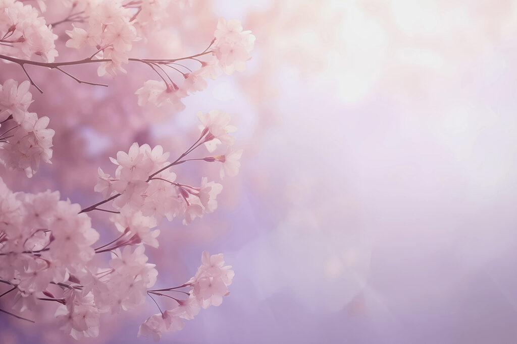 Des fleurs douces dans un moment pastel Des fleurs douces dans un moment pastel