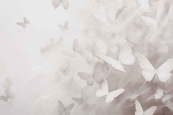 Groupe de papillons en vol Groupe de papillons en vol