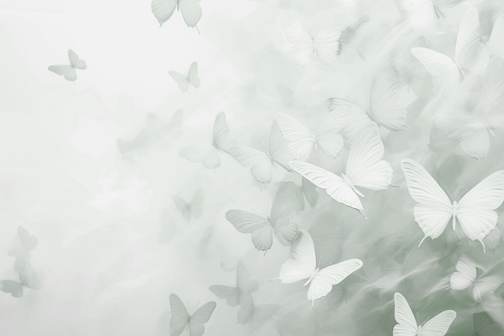 Group of butterflies flying Group of butterflies flying