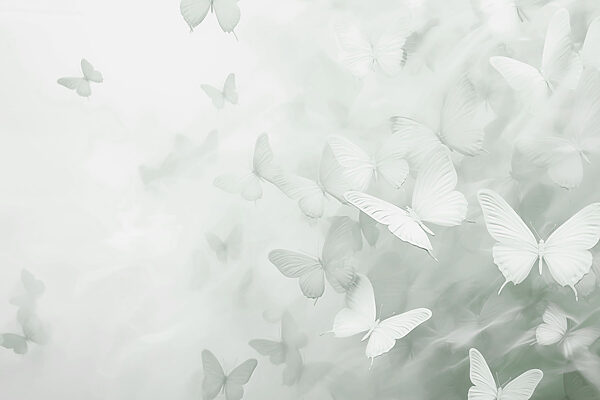 Group of butterflies flying Group of butterflies flying