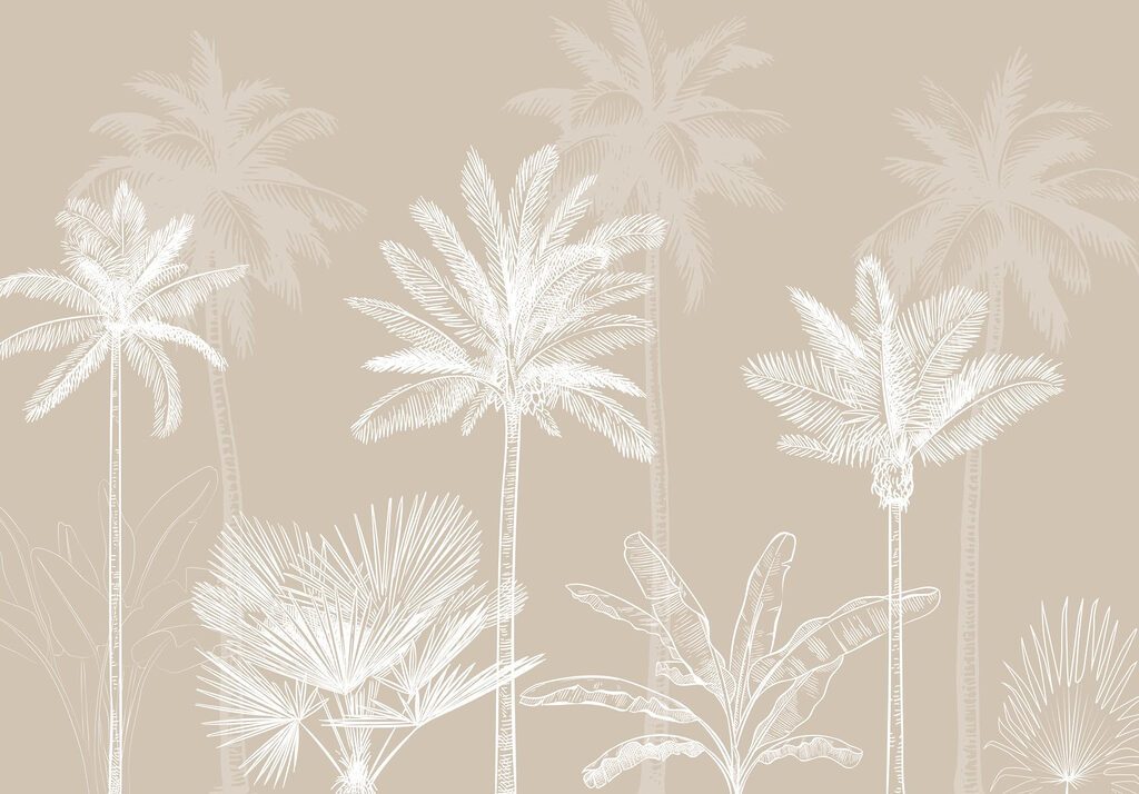 Group of palm trees