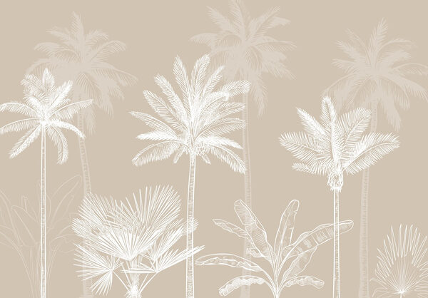 Group of palm trees