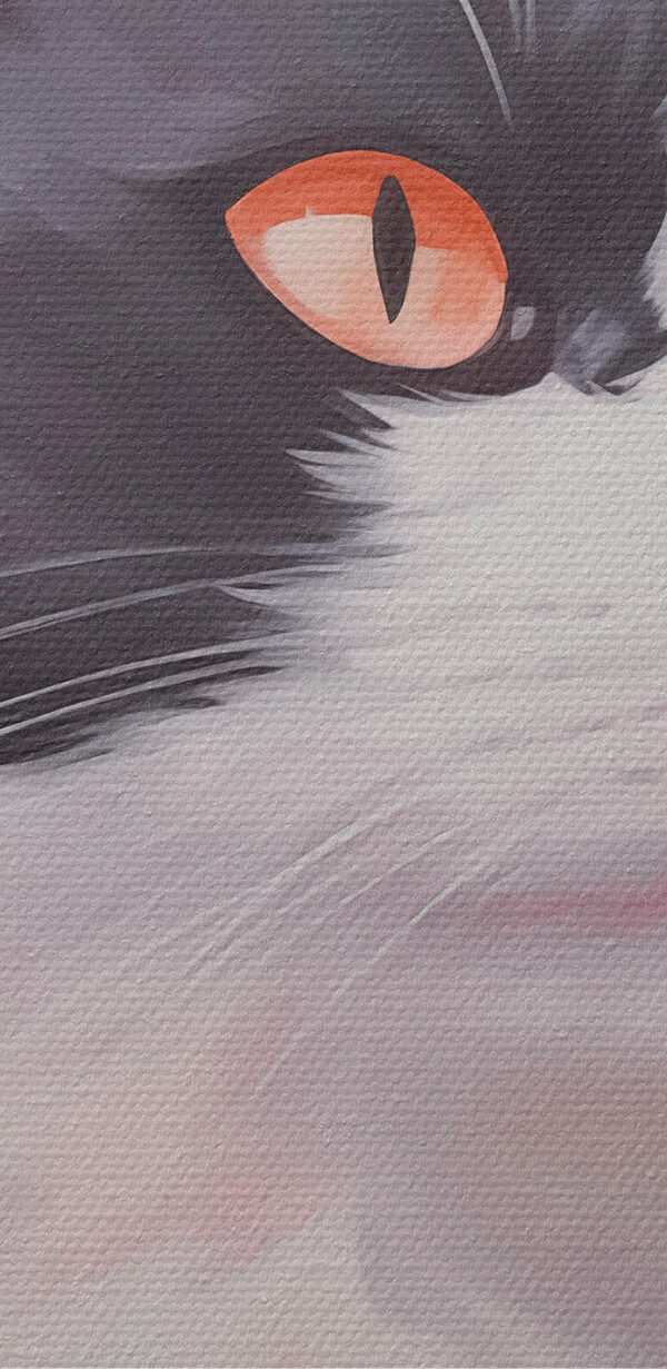 Chat noir et blanc aux yeux orange Chat noir et blanc aux yeux orange