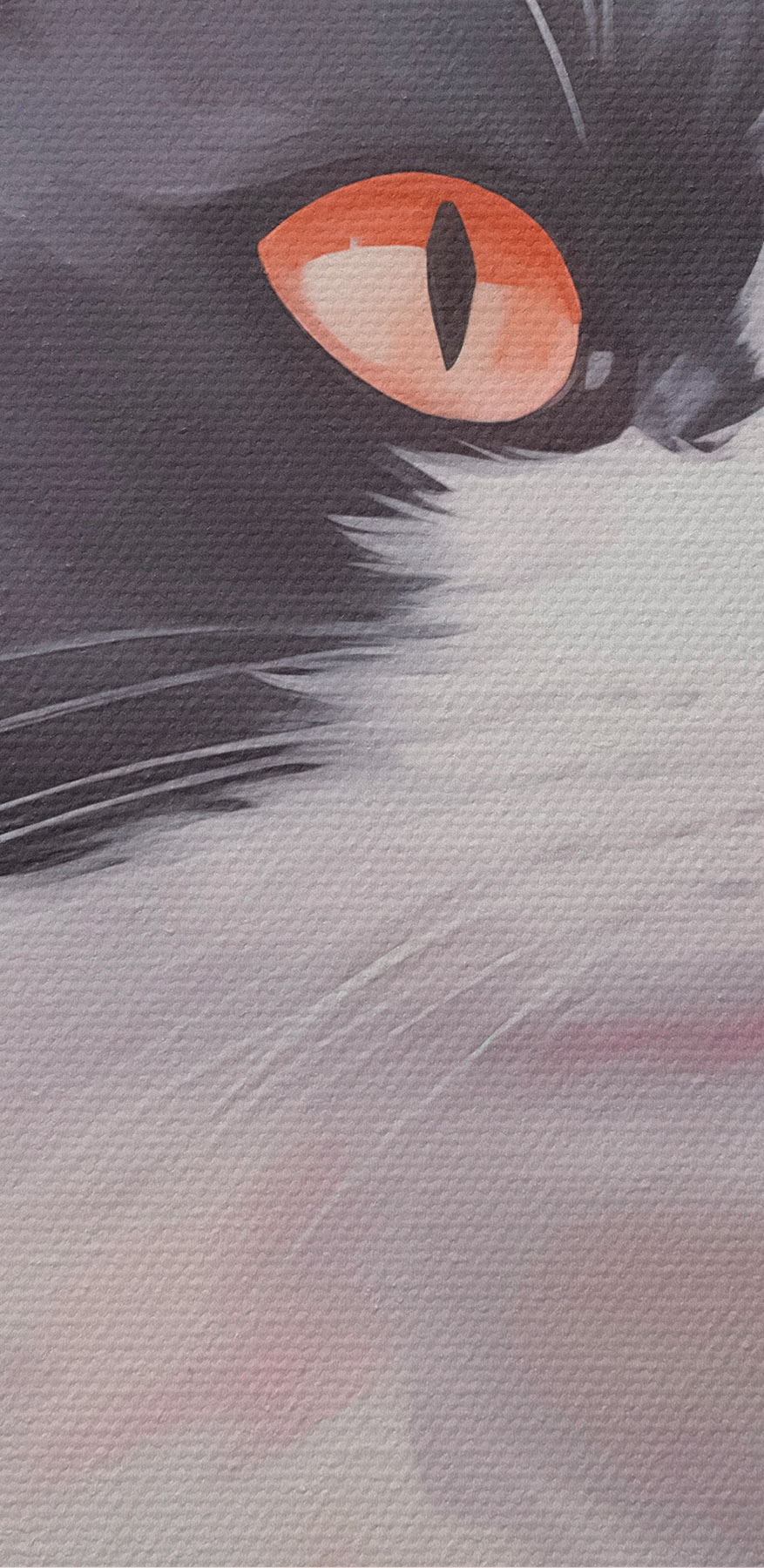 Chat noir et blanc aux yeux orange Chat noir et blanc aux yeux orange