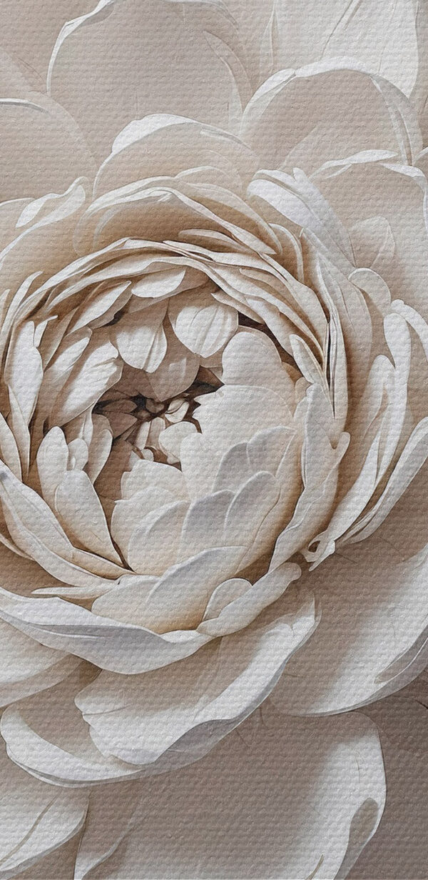 Fleur blanche avec feuilles Fleur blanche avec feuilles