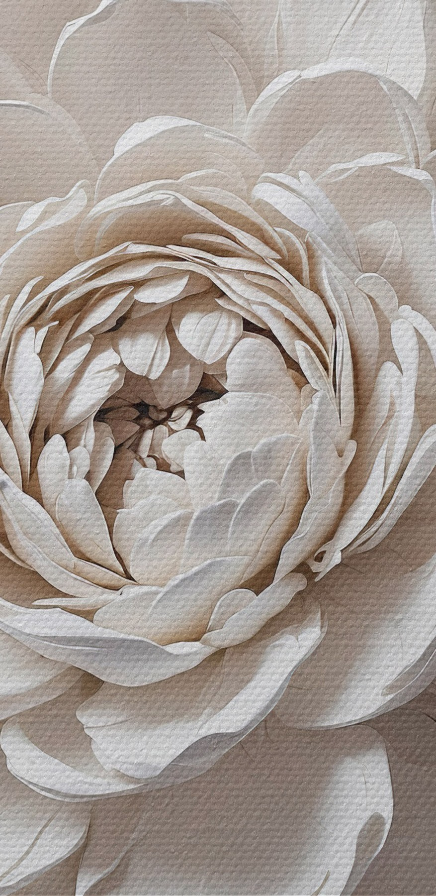 Fleur blanche avec feuilles Fleur blanche avec feuilles