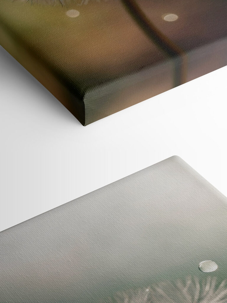 Delicate nature at its finest