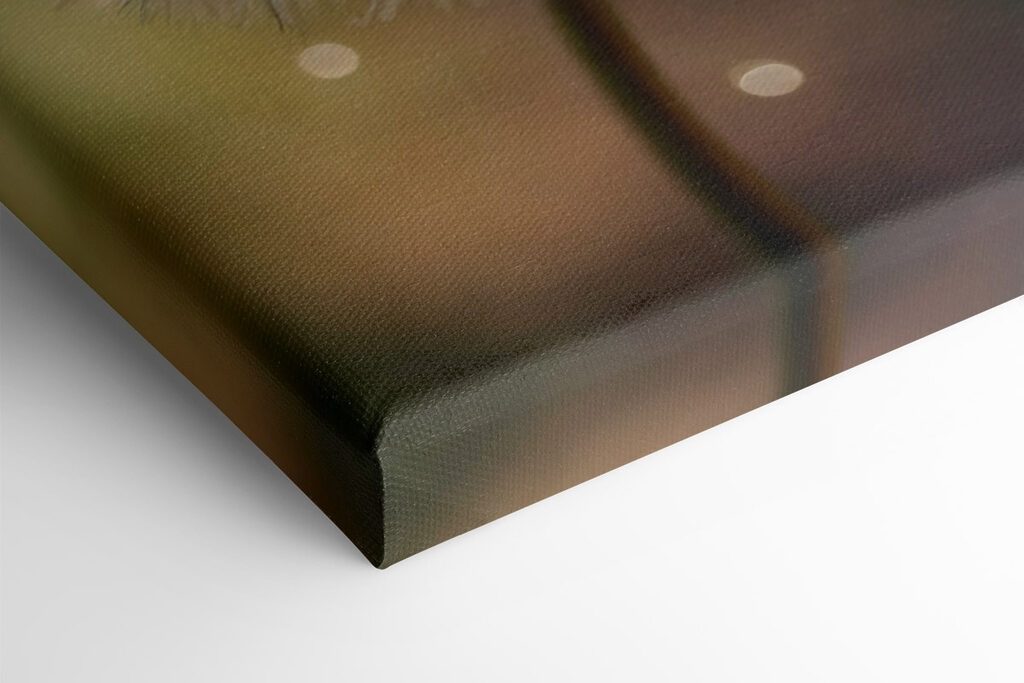 Delicate nature at its finest