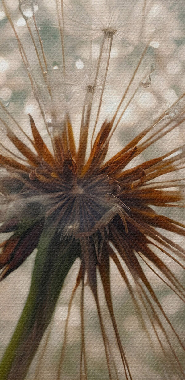 La nature délicate dans toute sa splendeur La nature délicate dans toute sa splendeur