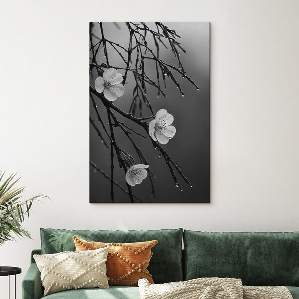 Des fleurs délicates sous une pluie fine. Des fleurs délicates sous une pluie fine.
