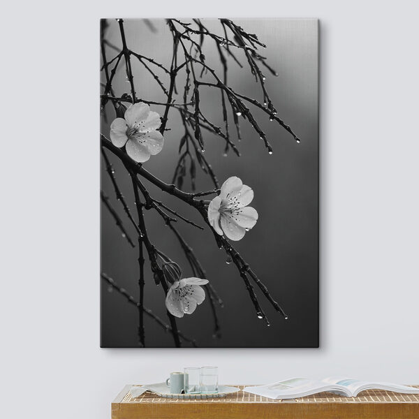 Des fleurs délicates sous une pluie fine. Des fleurs délicates sous une pluie fine.