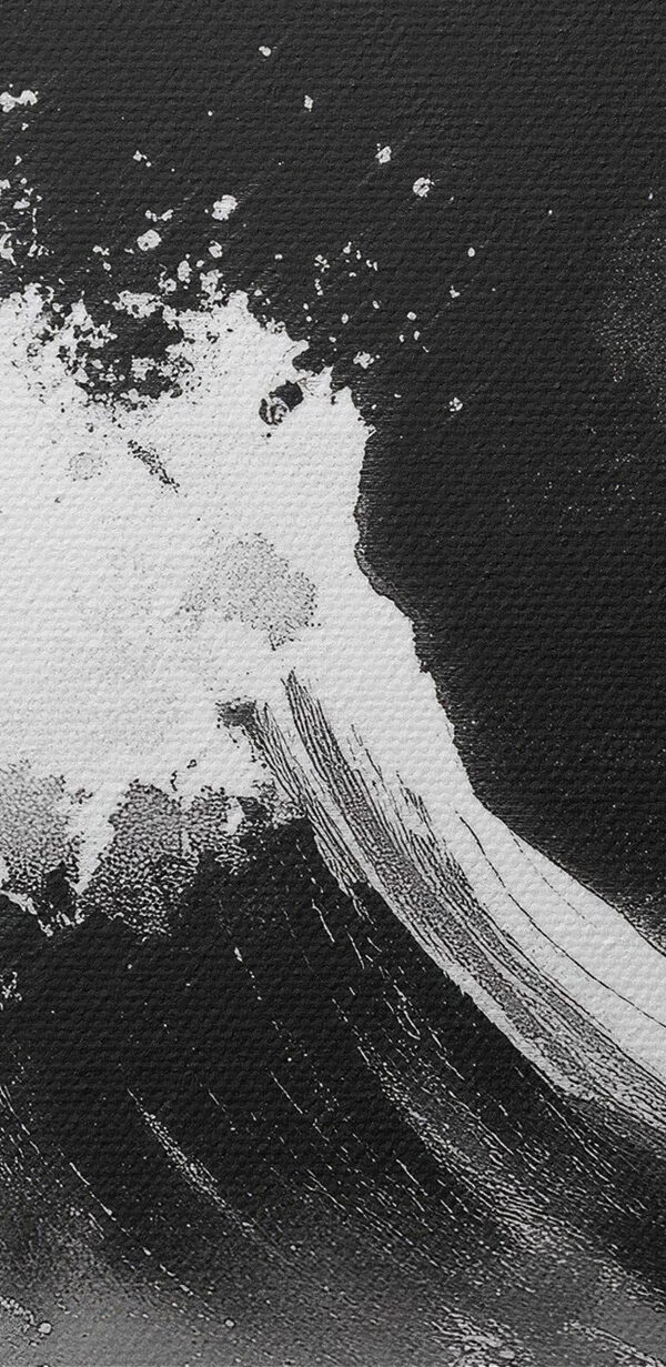 Image en noir et blanc d'une vague Image en noir et blanc d'une vague