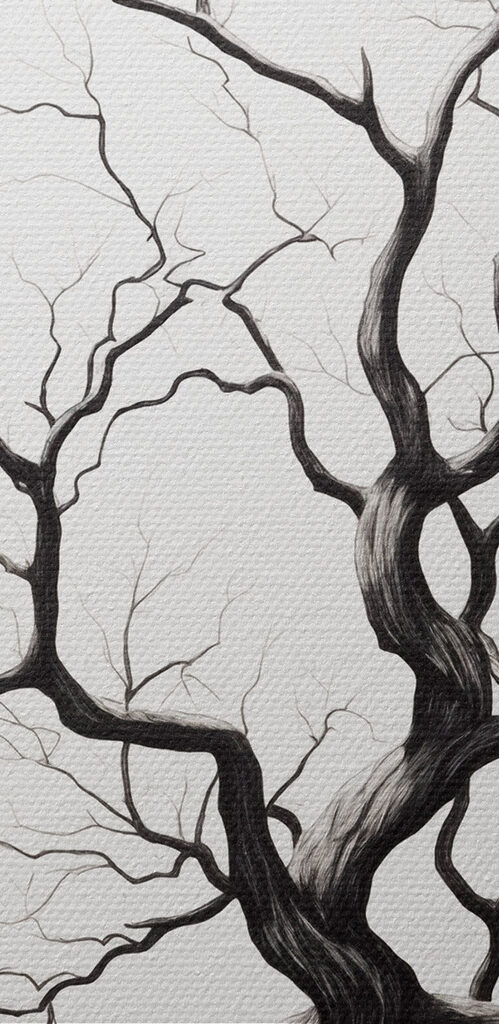 Black and white drawing of a tree Black and white drawing of a tree