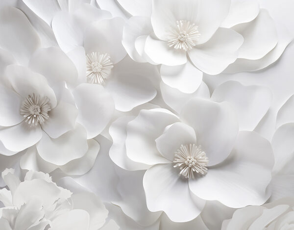 Groupe de fleurs blanches Groupe de fleurs blanches