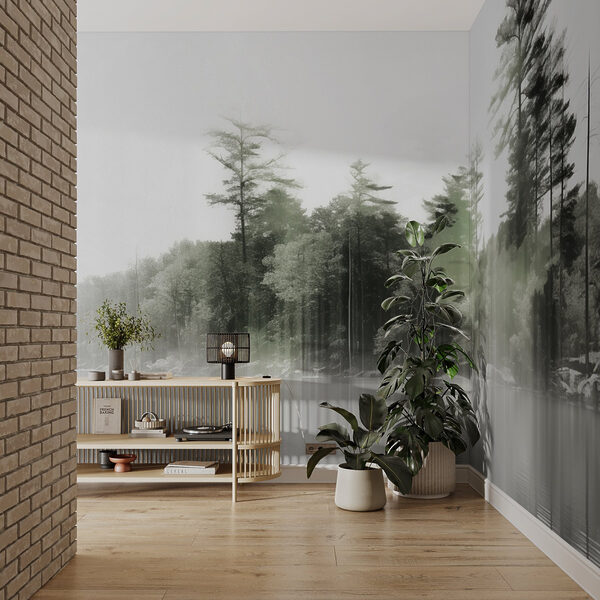 Plan d'eau avec arbres et brouillard Plan d'eau avec arbres et brouillard