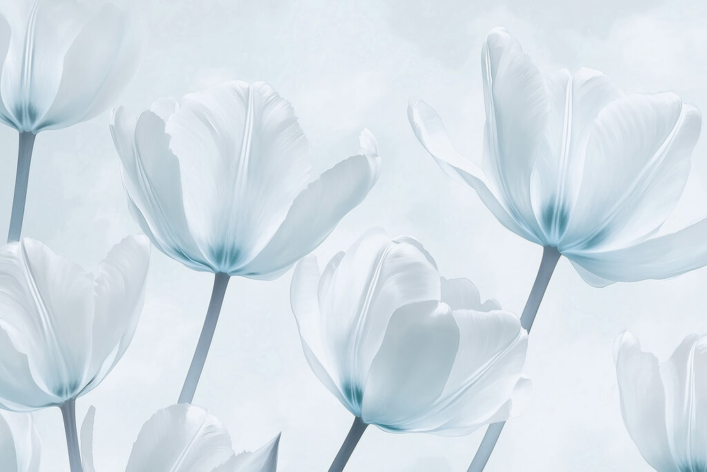 Groupe de fleurs blanches Groupe de fleurs blanches