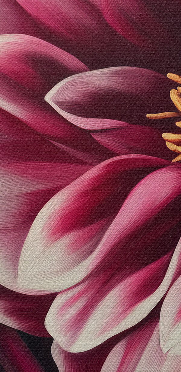 Des fleurs vibrantes aux couleurs harmonieuses Des fleurs vibrantes aux couleurs harmonieuses