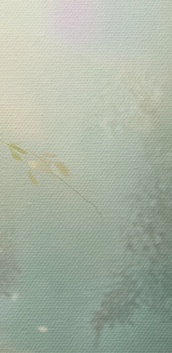 Papillon et fleurs dans une forêt Papillon et fleurs dans une forêt