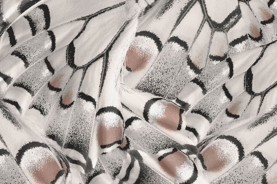 Motifs complexes dans un tissu délicat.