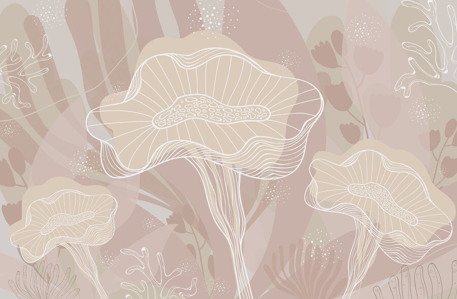 Contour blanc des champignons Contour blanc des champignons