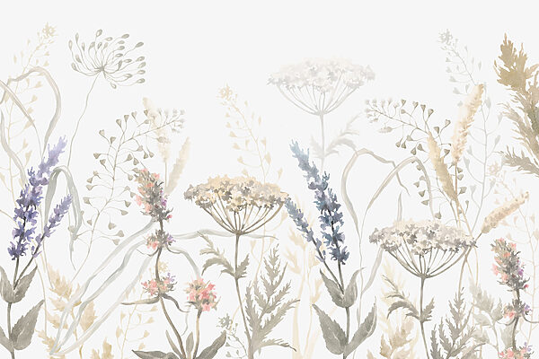Aquarelle de fleurs et de plantes Aquarelle de fleurs et de plantes