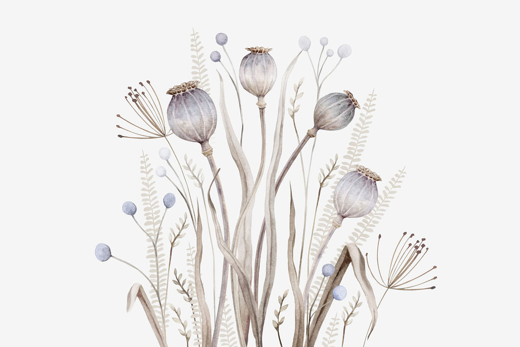 Aquarelle de fleurs et de plantes Aquarelle de fleurs et de plantes