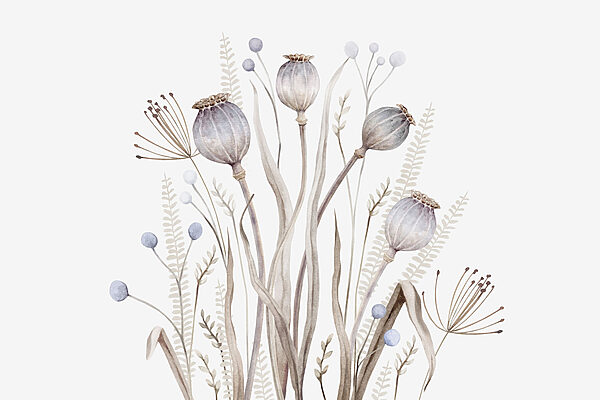 Aquarelle de fleurs et de plantes Aquarelle de fleurs et de plantes