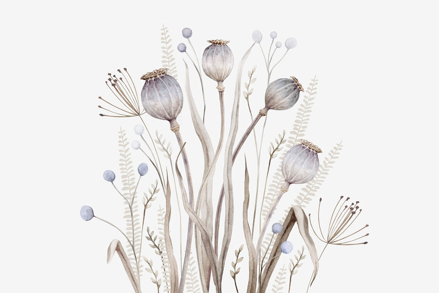 Aquarelle de fleurs et de plantes