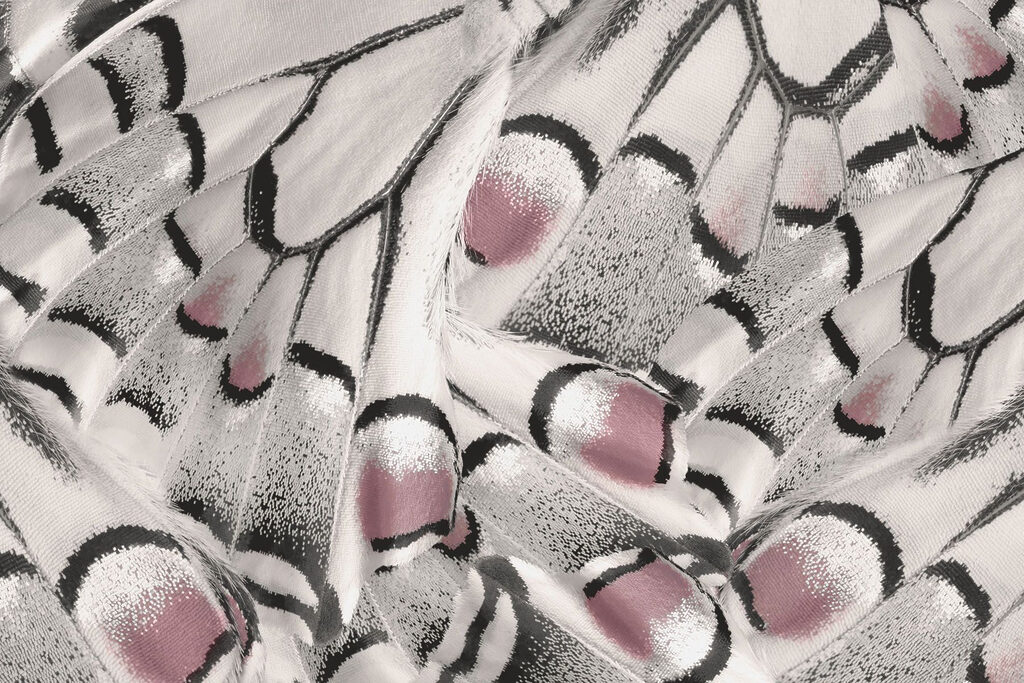 Nature's intricate patterns unfold beautifully