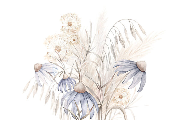 Aquarelle de fleurs et de plantes Aquarelle de fleurs et de plantes
