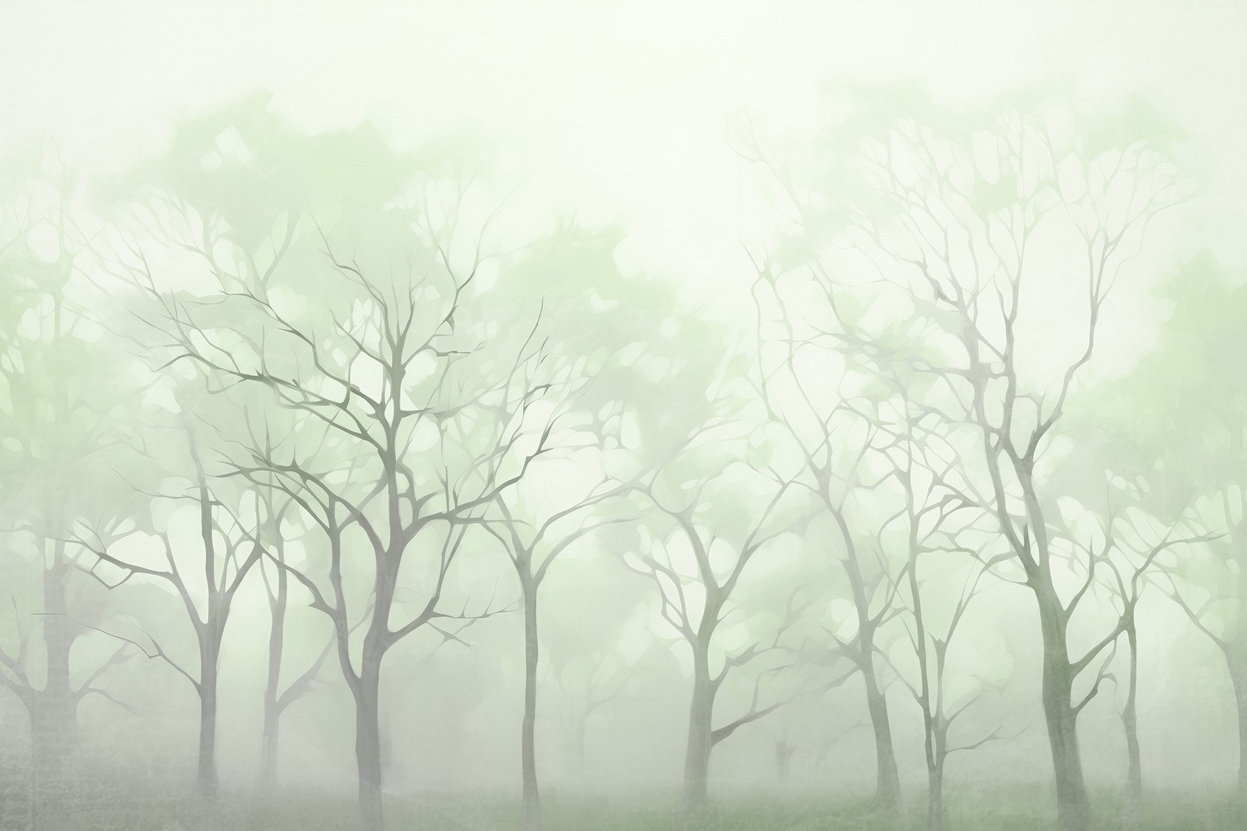 Group of trees in fog