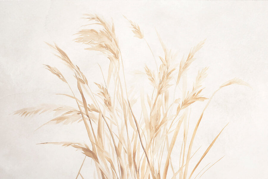 Herbes délicates sur un fond doux