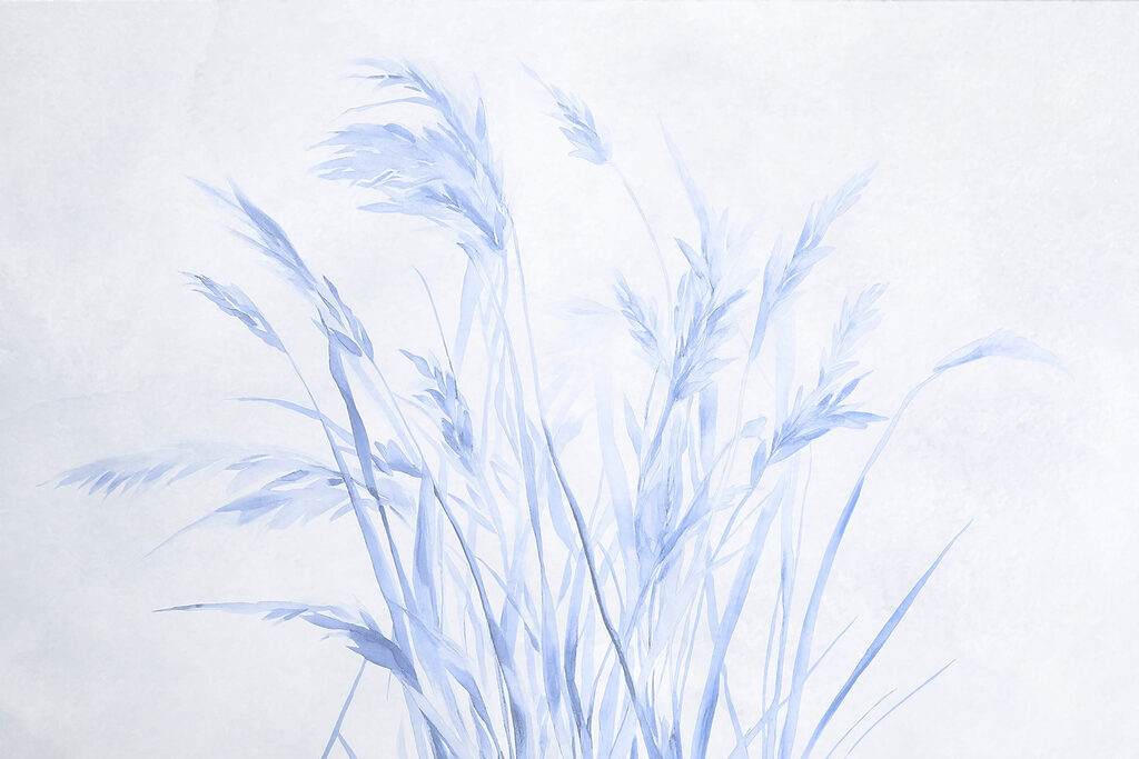 Des herbes délicates dans des teintes douces. Des herbes délicates dans des teintes douces.