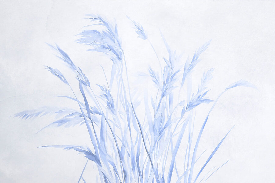 Des herbes délicates dans des teintes douces.