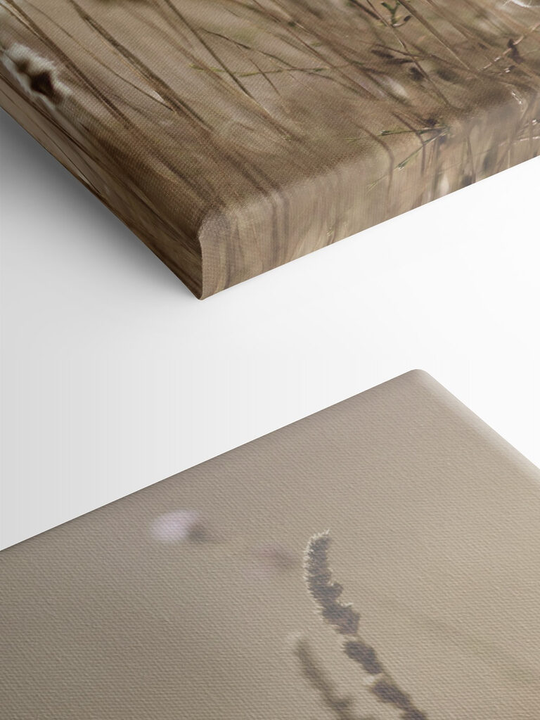 A close up of a plant A close up of a plant